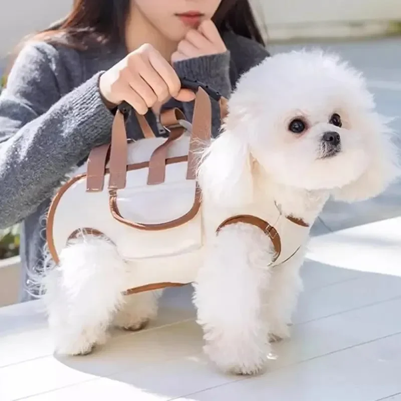 2026 Small Dog Lift Harness Ba - Heavy Equipment Cat review and price